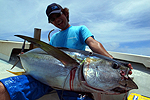 久米島 マグロ釣り