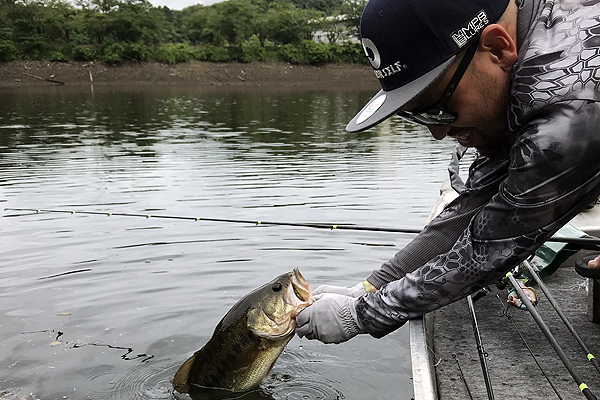 largemouth bass fishing in Japan