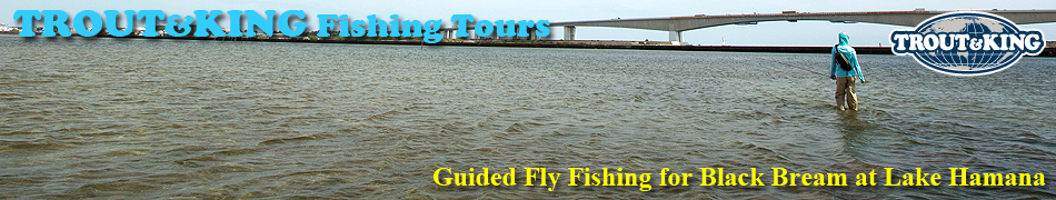 Sight Fishing at Lake Hamana