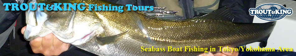 Seabass boat fishing guide