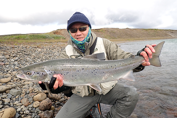 アイスランド アトランティックサーモン