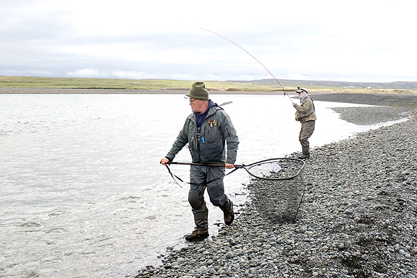 アイスランド アトランティックサーモン