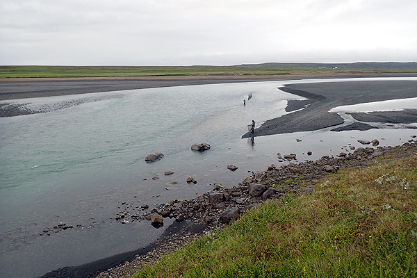 アイスランド アトランティックサーモン