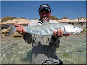 Ningaloo Reefでのボーンフィッシュ