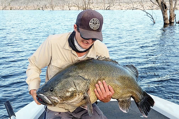 オーストラリア マレーコッド フィッシング