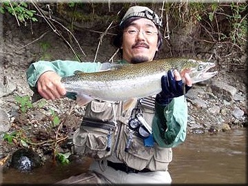 ドライフライでスティールヘッド